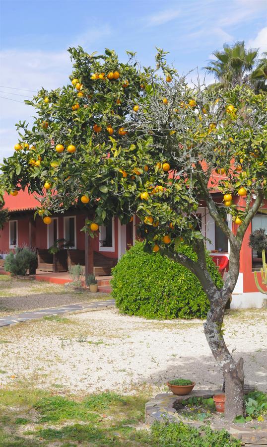 Monte Da Xica - Somente Adultos Guest House Zambujeira do Mar Bagian luar foto